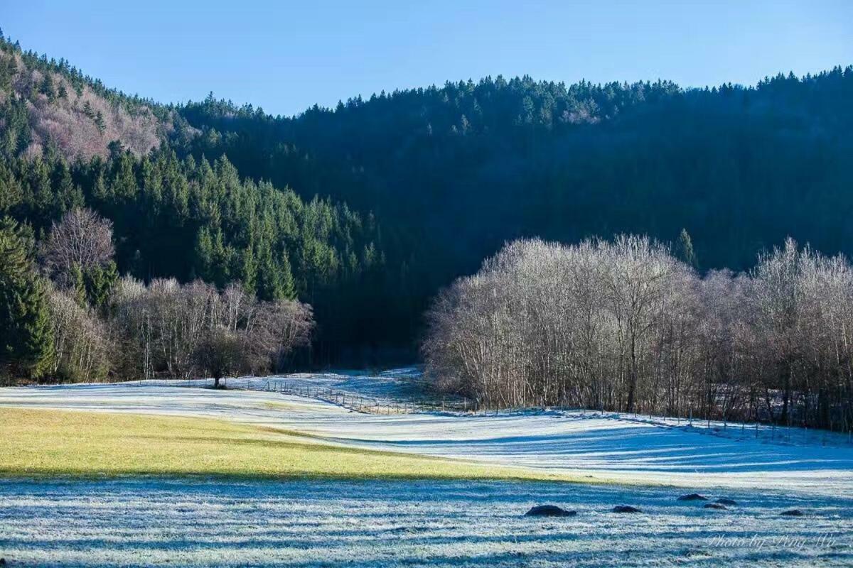 Hotel Oyer Hof Oy-Mittelberg Buitenkant foto