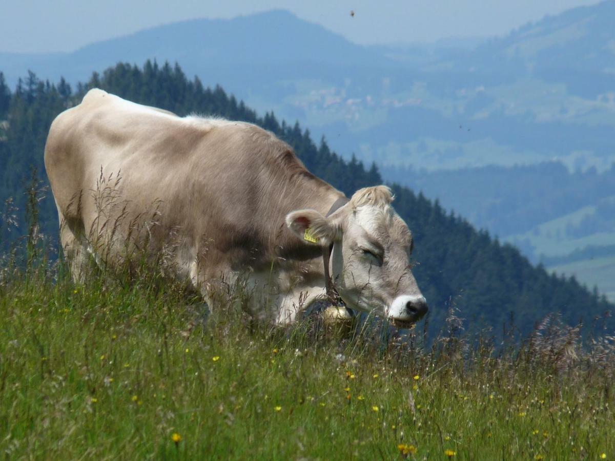 Hotel Oyer Hof Oy-Mittelberg Buitenkant foto